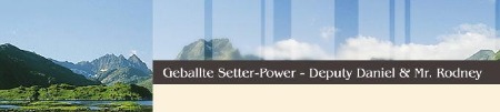 banner_setterPower